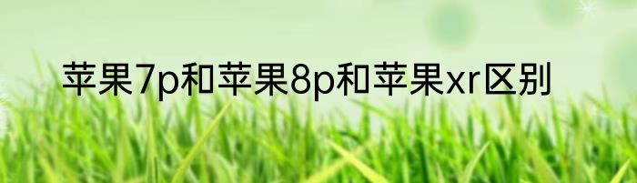 苹果7p和苹果8p和苹果xr区别