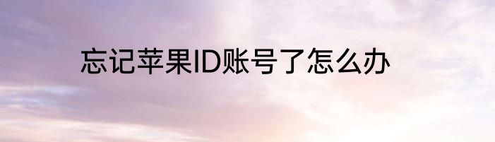 忘记苹果ID账号了怎么办