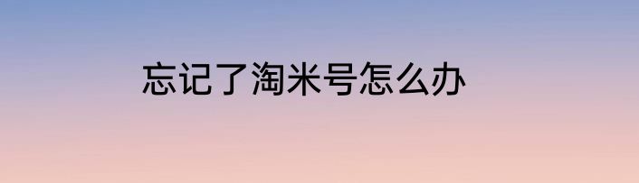 忘记了淘米号怎么办