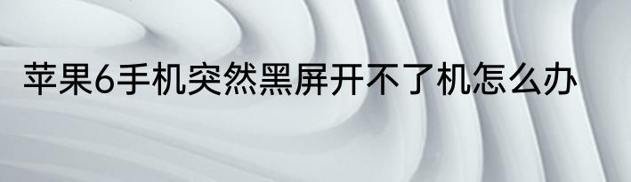 苹果6手机突然黑屏开不了机怎么办