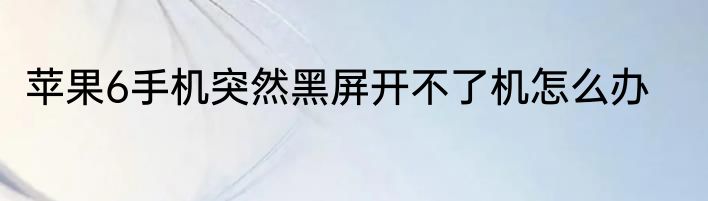 苹果6手机突然黑屏开不了机怎么办