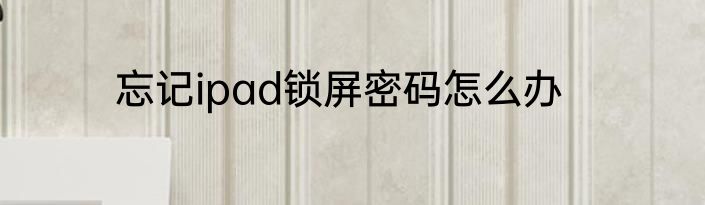 忘记ipad锁屏密码怎么办