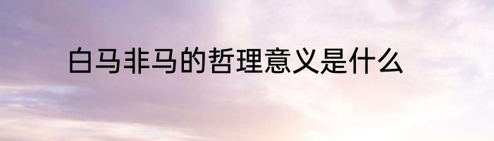 白马非马的哲理意义是什么