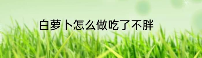 白萝卜怎么做吃了不胖