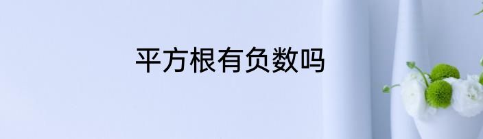 平方根有负数吗