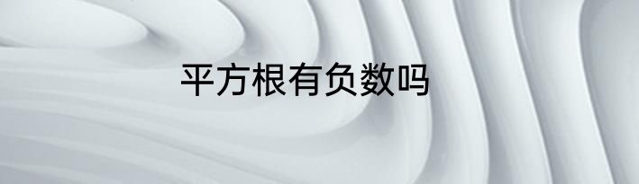 平方根有负数吗