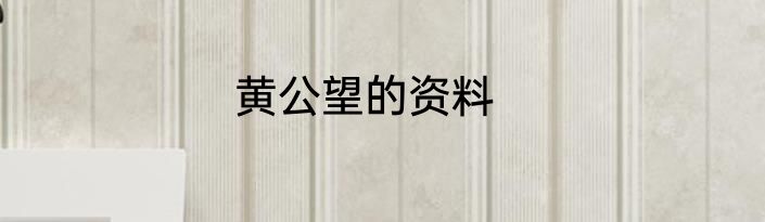 黄公望的资料