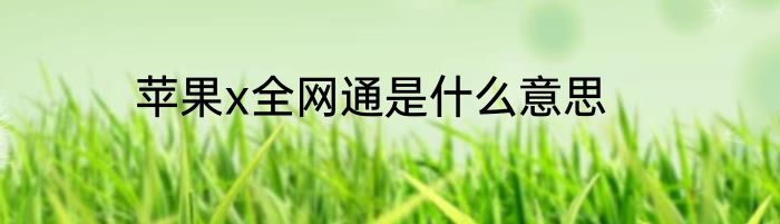 苹果x全网通是什么意思