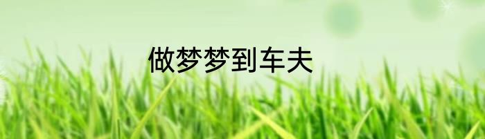 做梦梦到车夫