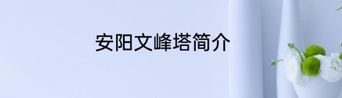 安阳文峰塔简介