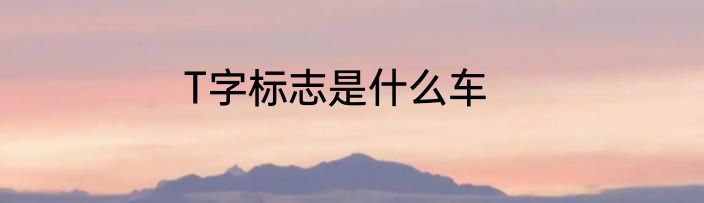T字标志是什么车