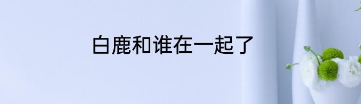 白鹿和谁在一起了