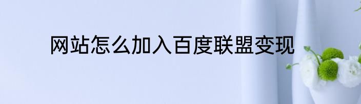 网站怎么加入百度联盟变现