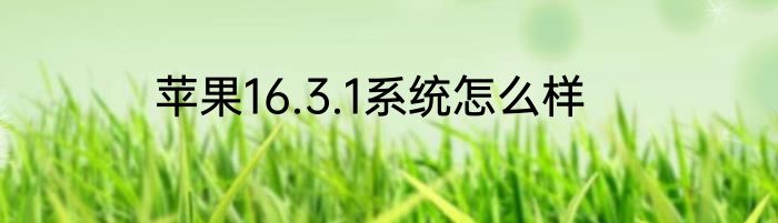苹果16.3.1系统怎么样