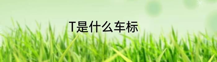 T是什么车标