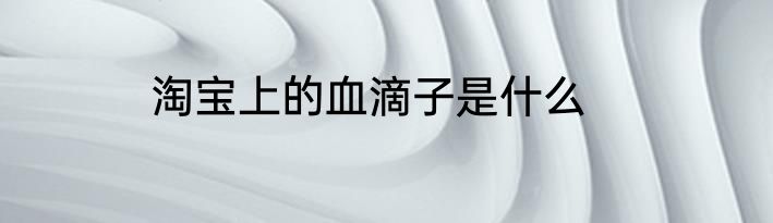 淘宝上的血滴子是什么