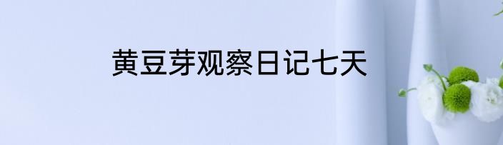 黄豆芽观察日记七天