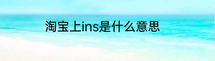 淘宝上ins是什么意思
