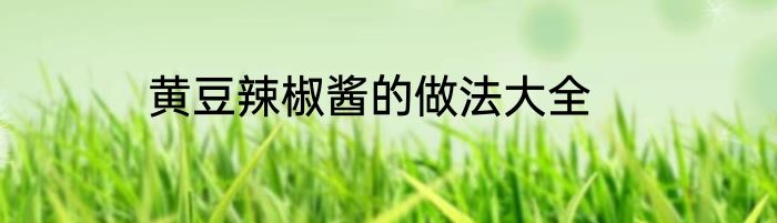 黄豆辣椒酱的做法大全