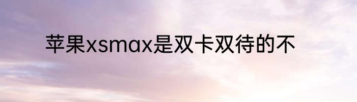 苹果xsmax是双卡双待的不