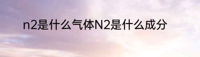 n2是什么气体N2是什么成分