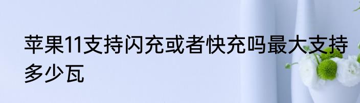 苹果11支持闪充或者快充吗最大支持多少瓦