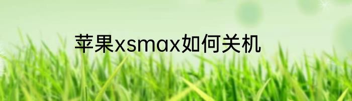 苹果xsmax如何关机