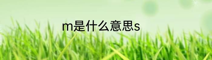 m是什么意思s