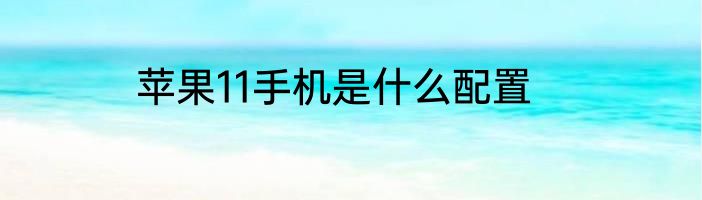 苹果11手机是什么配置