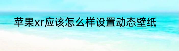苹果xr应该怎么样设置动态壁纸