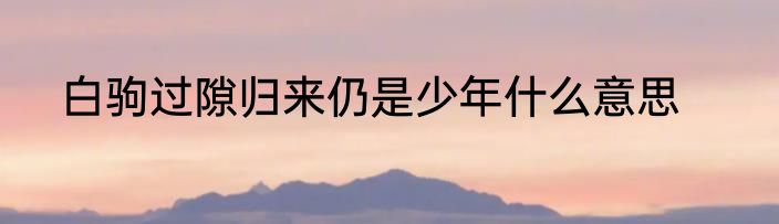 白驹过隙归来仍是少年什么意思
