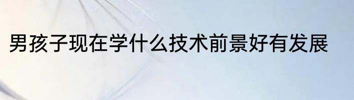 男孩子现在学什么技术前景好有发展