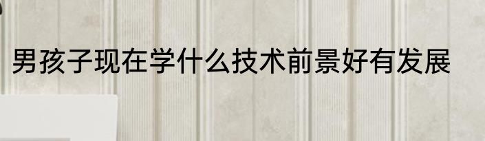 男孩子现在学什么技术前景好有发展