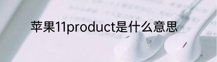 苹果11product是什么意思