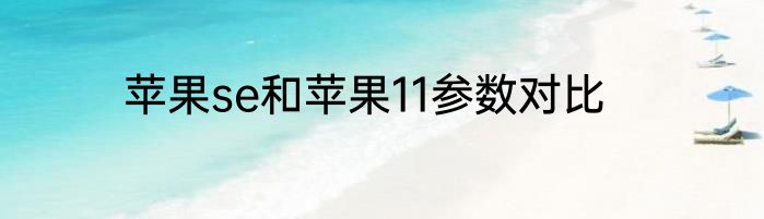 苹果se和苹果11参数对比