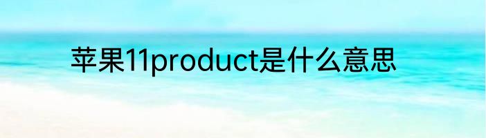 苹果11product是什么意思