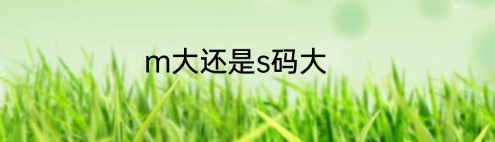 m大还是s码大