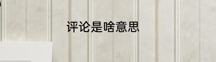 评论是啥意思
