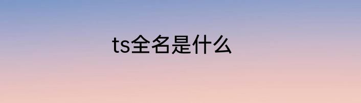 ts全名是什么