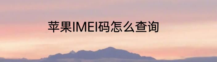 苹果IMEI码怎么查询