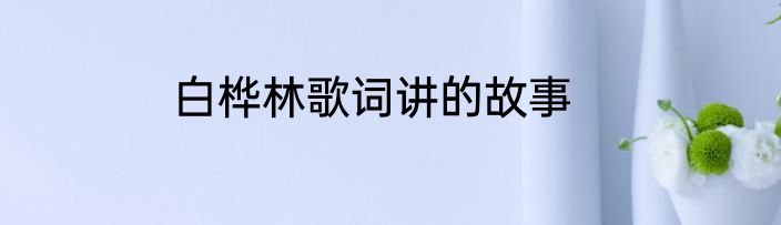 白桦林歌词讲的故事