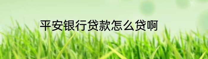平安银行贷款怎么贷啊