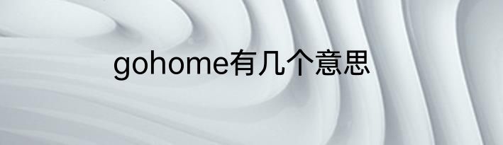 gohome有几个意思