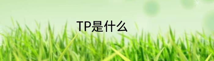 TP是什么