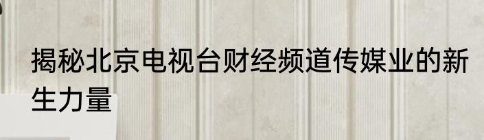 揭秘北京电视台财经频道传媒业的新生力量