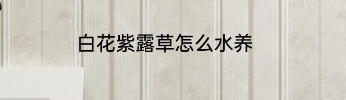 白花紫露草怎么水养