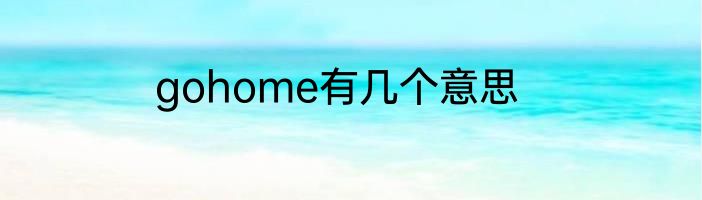 gohome有几个意思