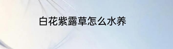 白花紫露草怎么水养