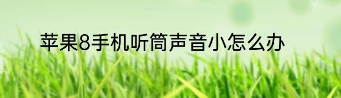 苹果8手机听筒声音小怎么办