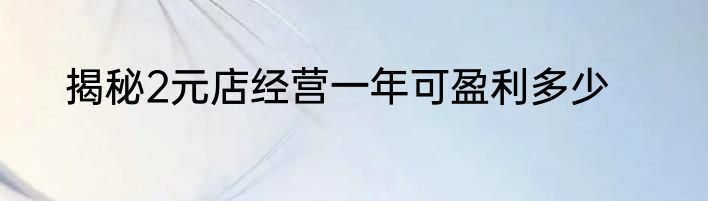 揭秘2元店经营一年可盈利多少